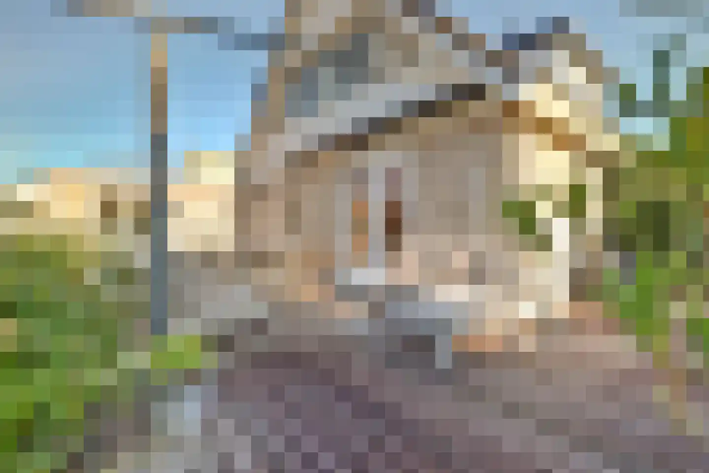 Gerstakker 6 Arnemuiden thumbnail 8