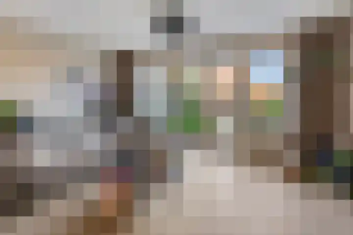 Gerstakker 6 Nuland thumbnail 10