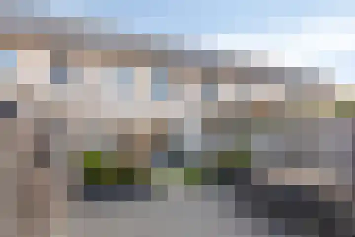 Gerstakker 6 Nuland thumbnail 14