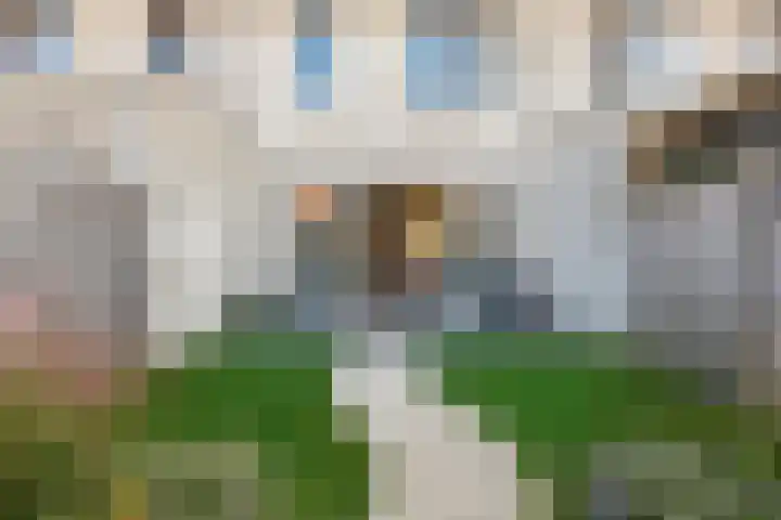 Gerstakker 6 Nuland thumbnail 15