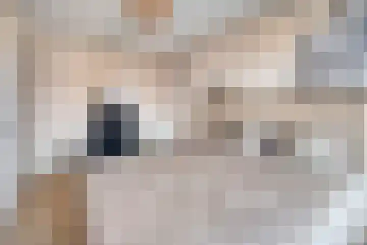 Gerstakker 6 Nuland thumbnail 20