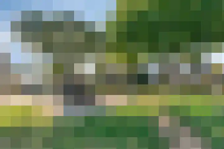 Gerstakker 6 Nuland thumbnail 29