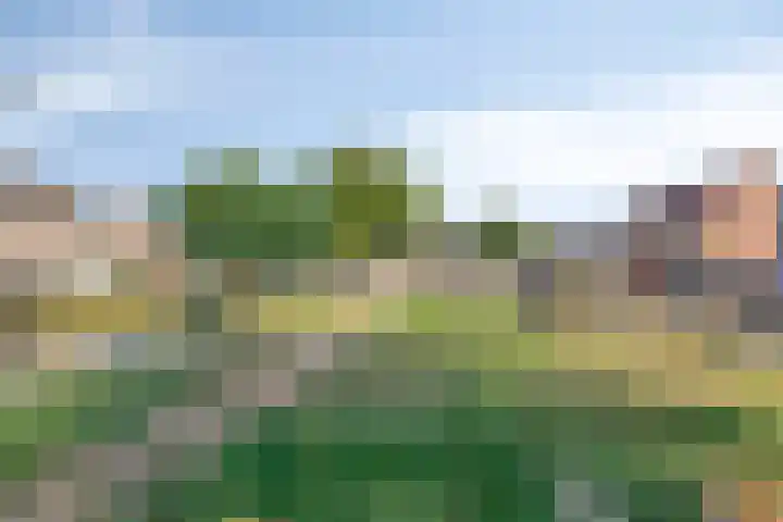 Gerstakker 6 Nuland thumbnail 30