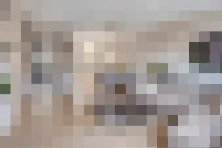 Gerstakker 6 Nuland thumbnail 4