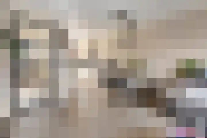 Gerstakker 6 Nuland thumbnail 5