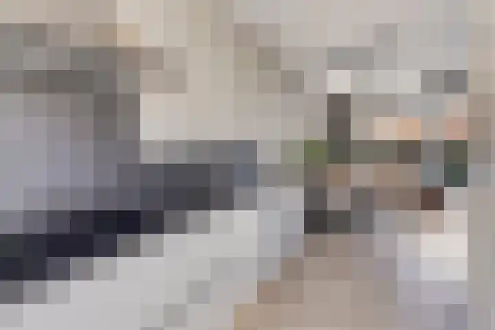 Gerstakker 6 Nuland thumbnail 8