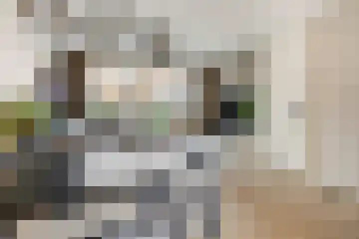 Gerstakker 6 Nuland thumbnail 9