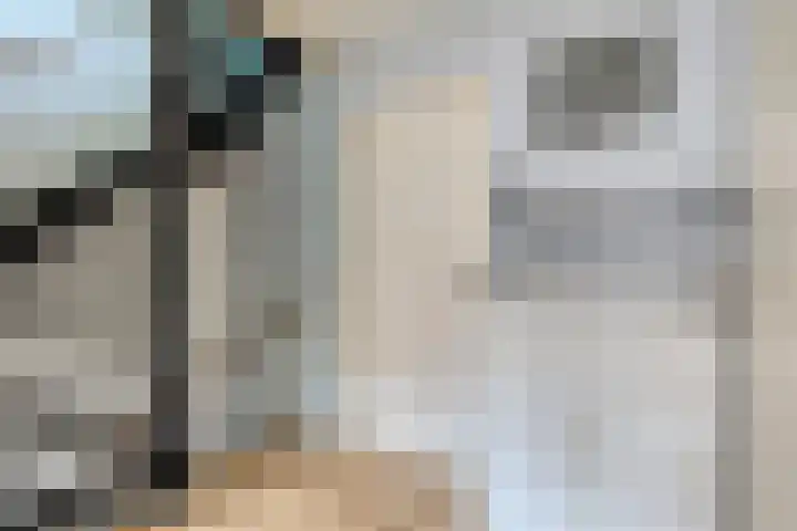 Gerstakker 69 Waddinxveen thumbnail 10