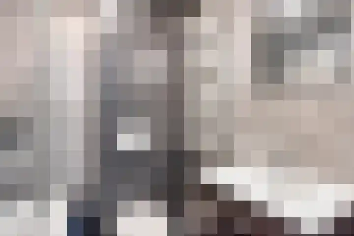 Gerstakker 69 Waddinxveen thumbnail 12