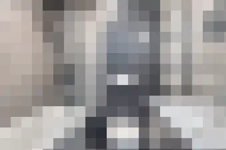 Gerstakker 69 Waddinxveen thumbnail 13