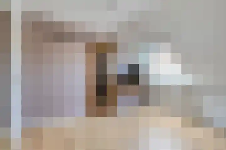 Gerstakker 69 Waddinxveen thumbnail 16