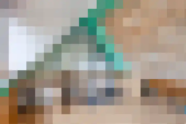 Gerstakker 69 Waddinxveen thumbnail 17