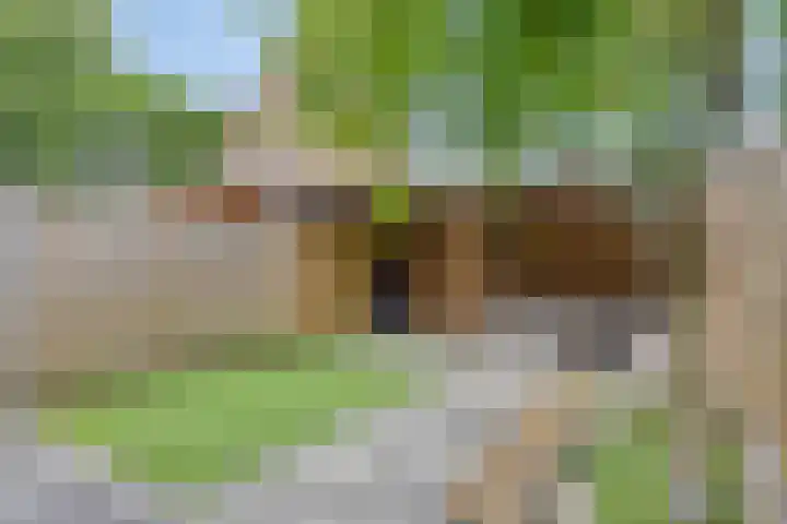 Gerstakker 69 Waddinxveen thumbnail 19