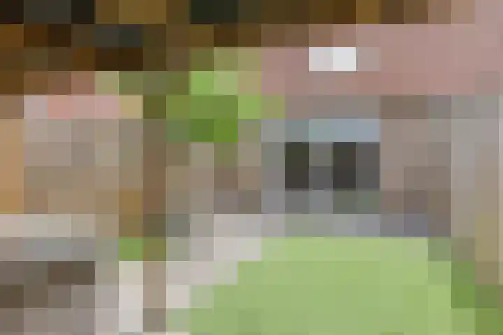 Gerstakker 69 Waddinxveen thumbnail 21