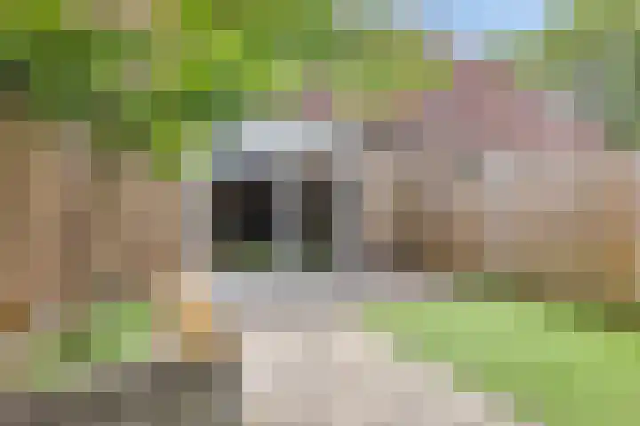 Gerstakker 69 Waddinxveen thumbnail 23