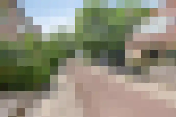 Gerstakker 69 Waddinxveen thumbnail 25