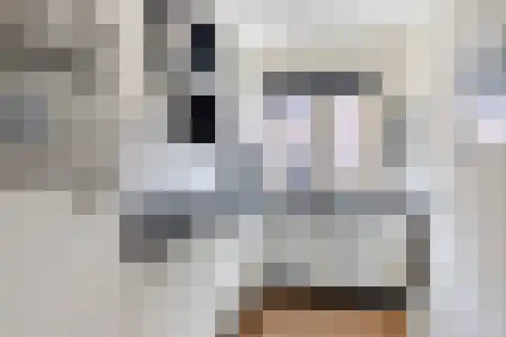 Gerstakker 69 Waddinxveen thumbnail 6
