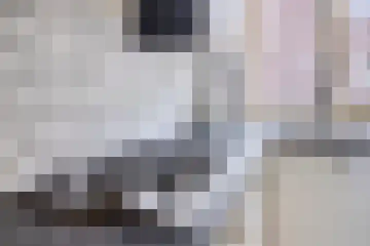 Gerstakker 69 Waddinxveen thumbnail 7