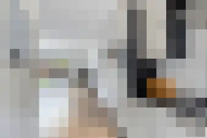 Gerstakker 69 Waddinxveen thumbnail 8