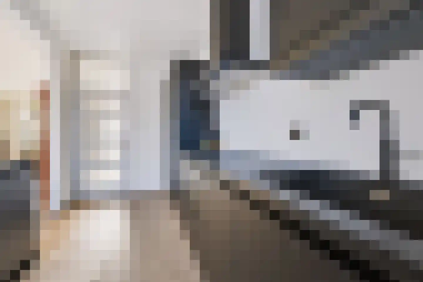 Gerstakker 7 Beuningen Gld thumbnail 13