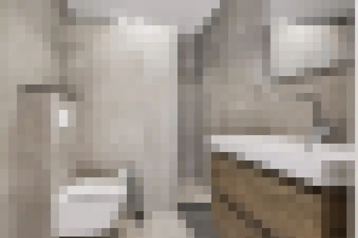 Gerstakker 7 Beuningen Gld thumbnail 23
