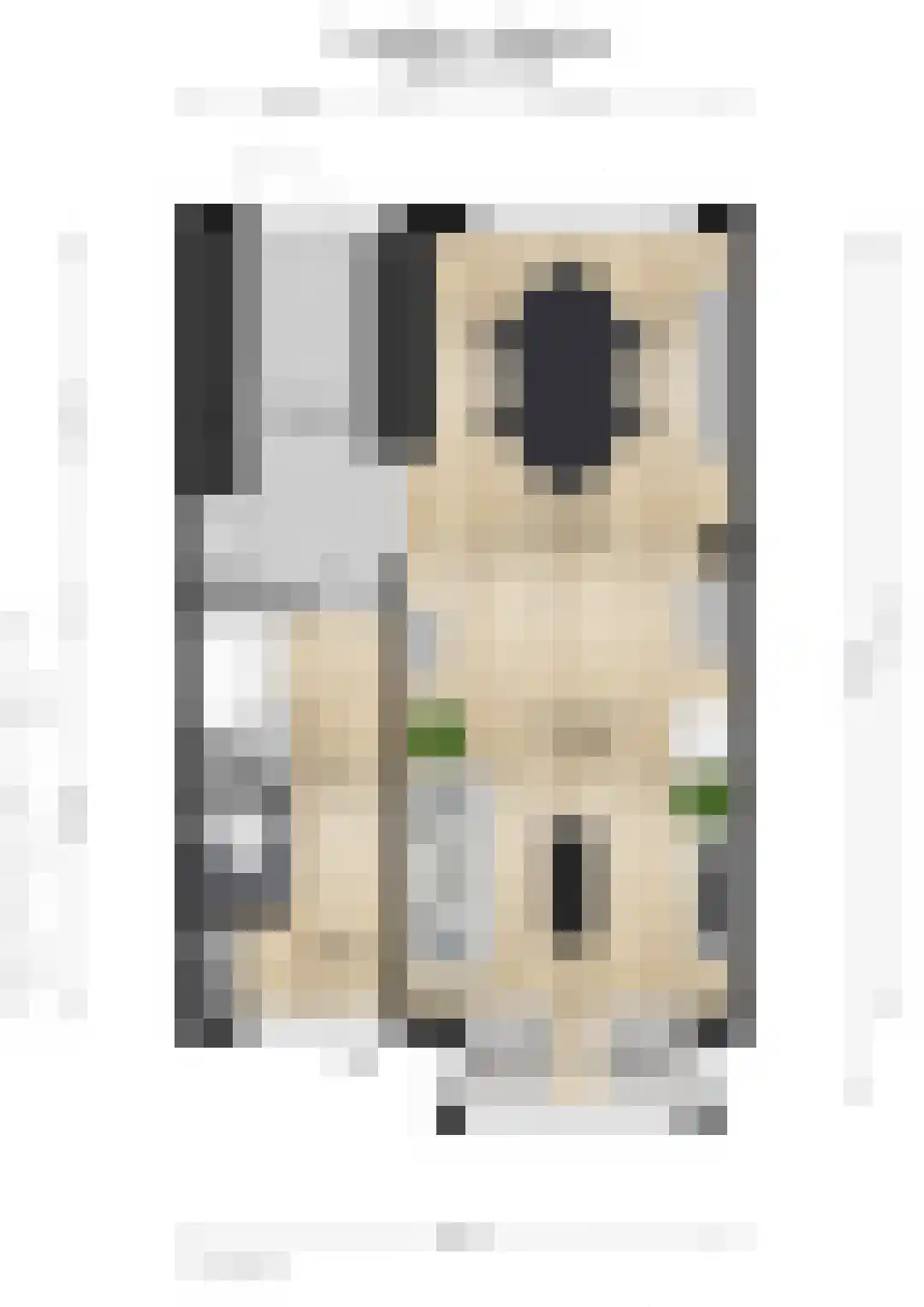 Gerstakker 7 Beuningen Gld thumbnail 37