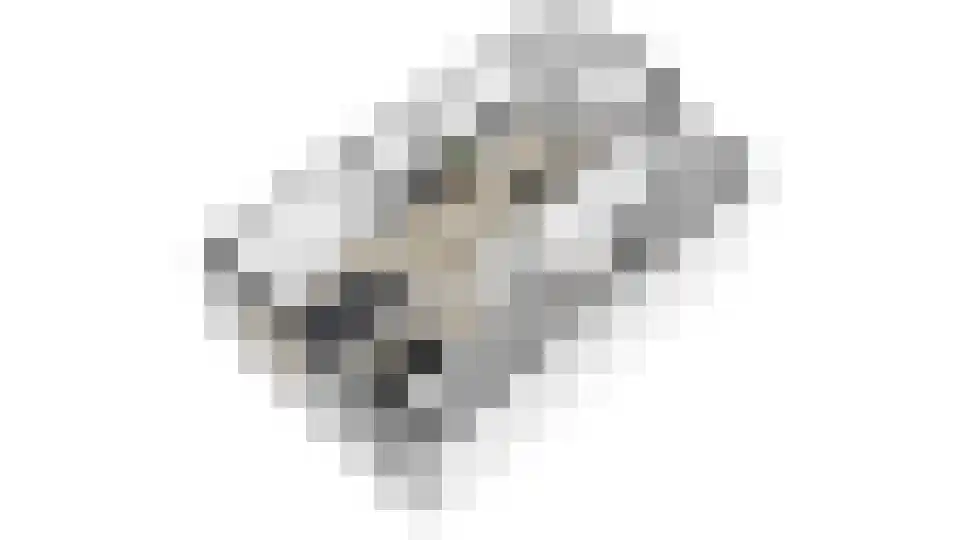 Gerstakker 7 Beuningen Gld thumbnail 38