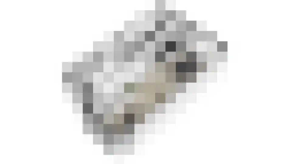 Gerstakker 7 Beuningen Gld thumbnail 39