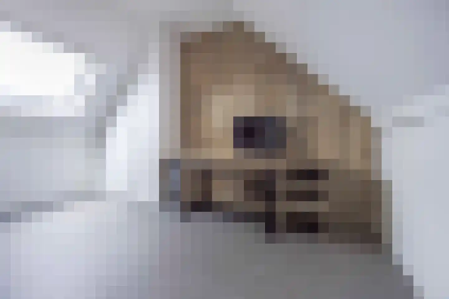 Gerstakker 7 Diessen thumbnail 34