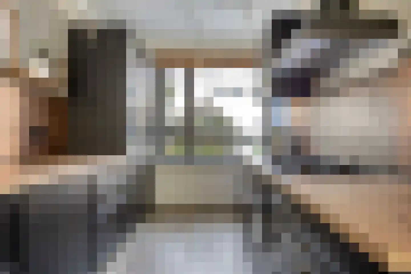 Gerstakker 8 Nuland thumbnail 12