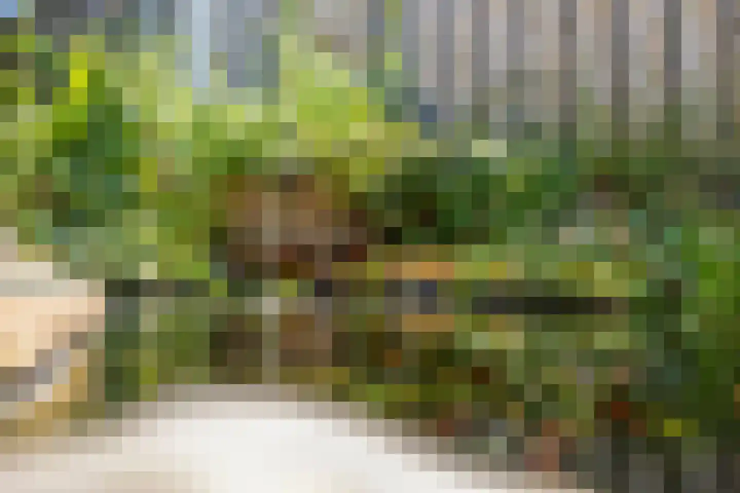 Gerstakker 8 Nuland thumbnail 31