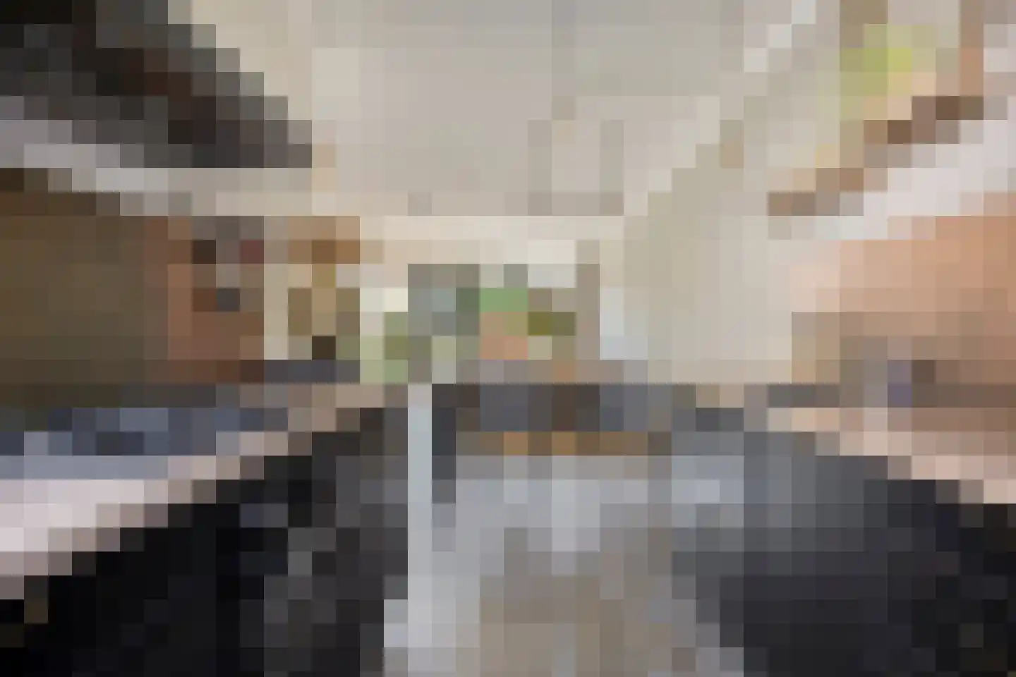 Gerstakker 8 Nuland thumbnail 9