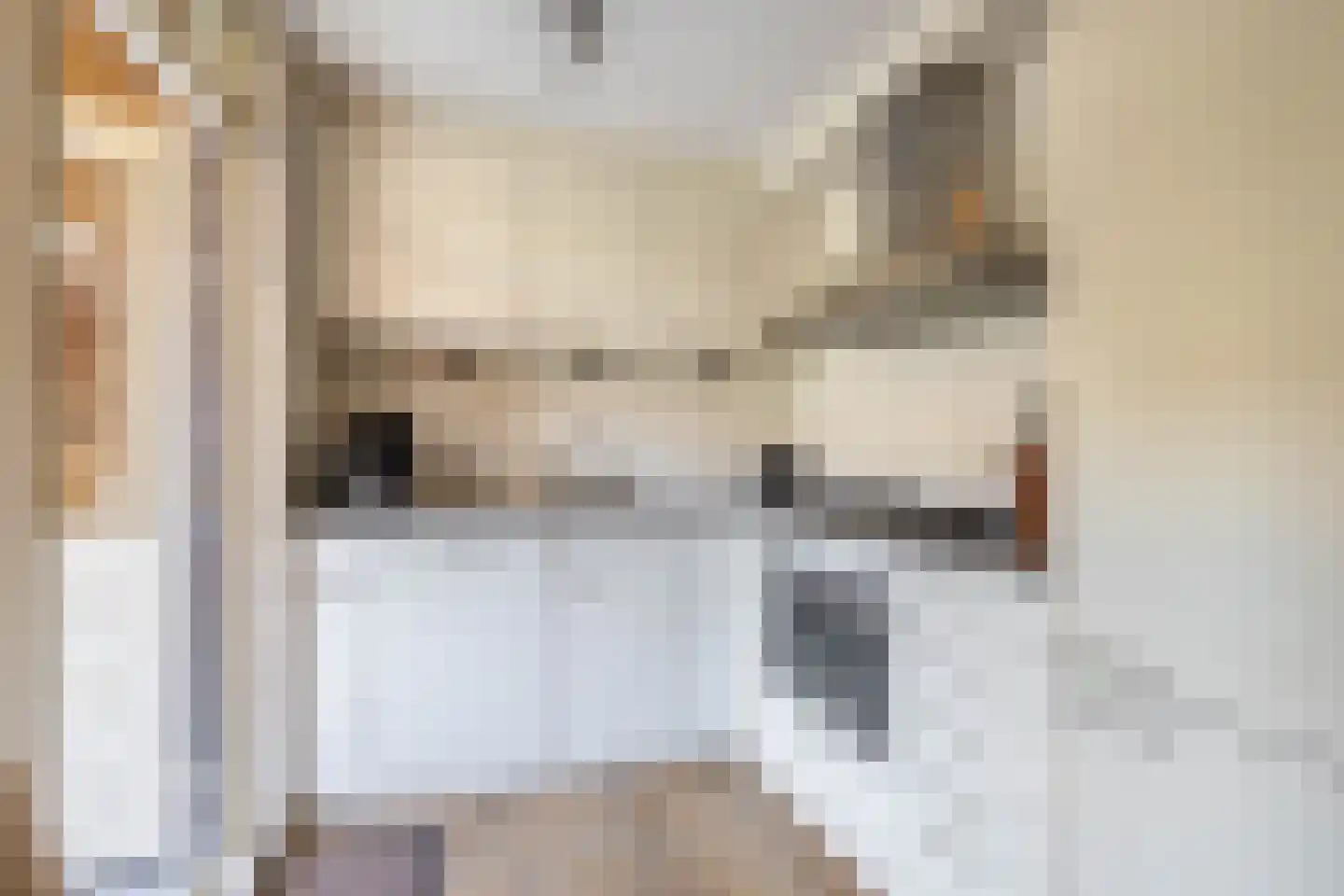 Gerstakker 92 Waddinxveen thumbnail 16