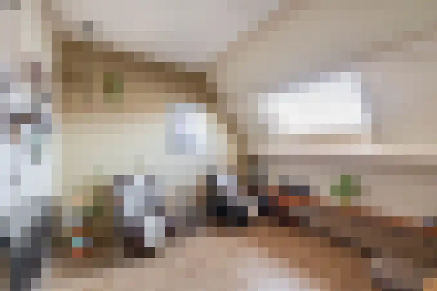 Gerstakker 92 Waddinxveen thumbnail 26