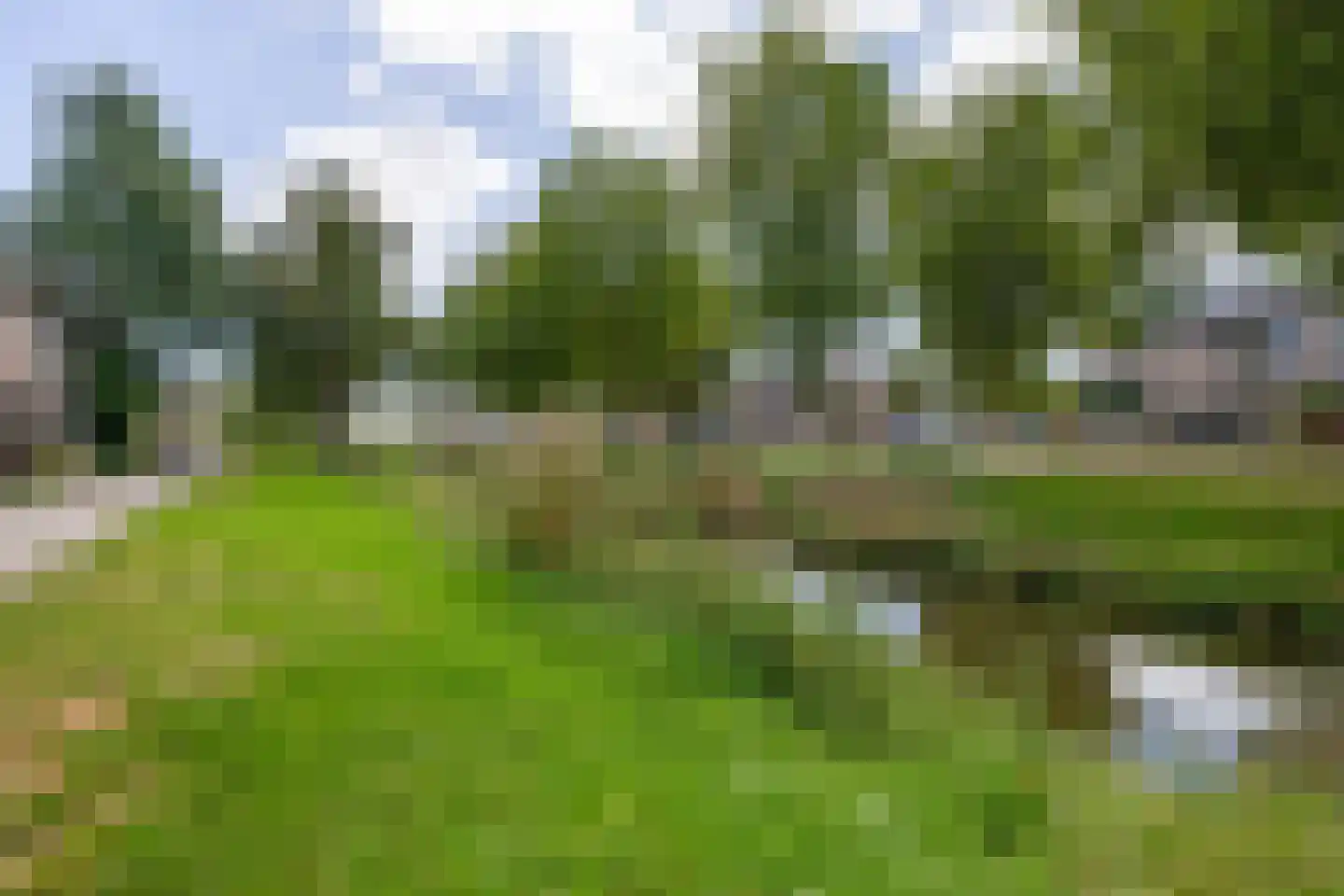 Gerstakker 92 Waddinxveen thumbnail 32