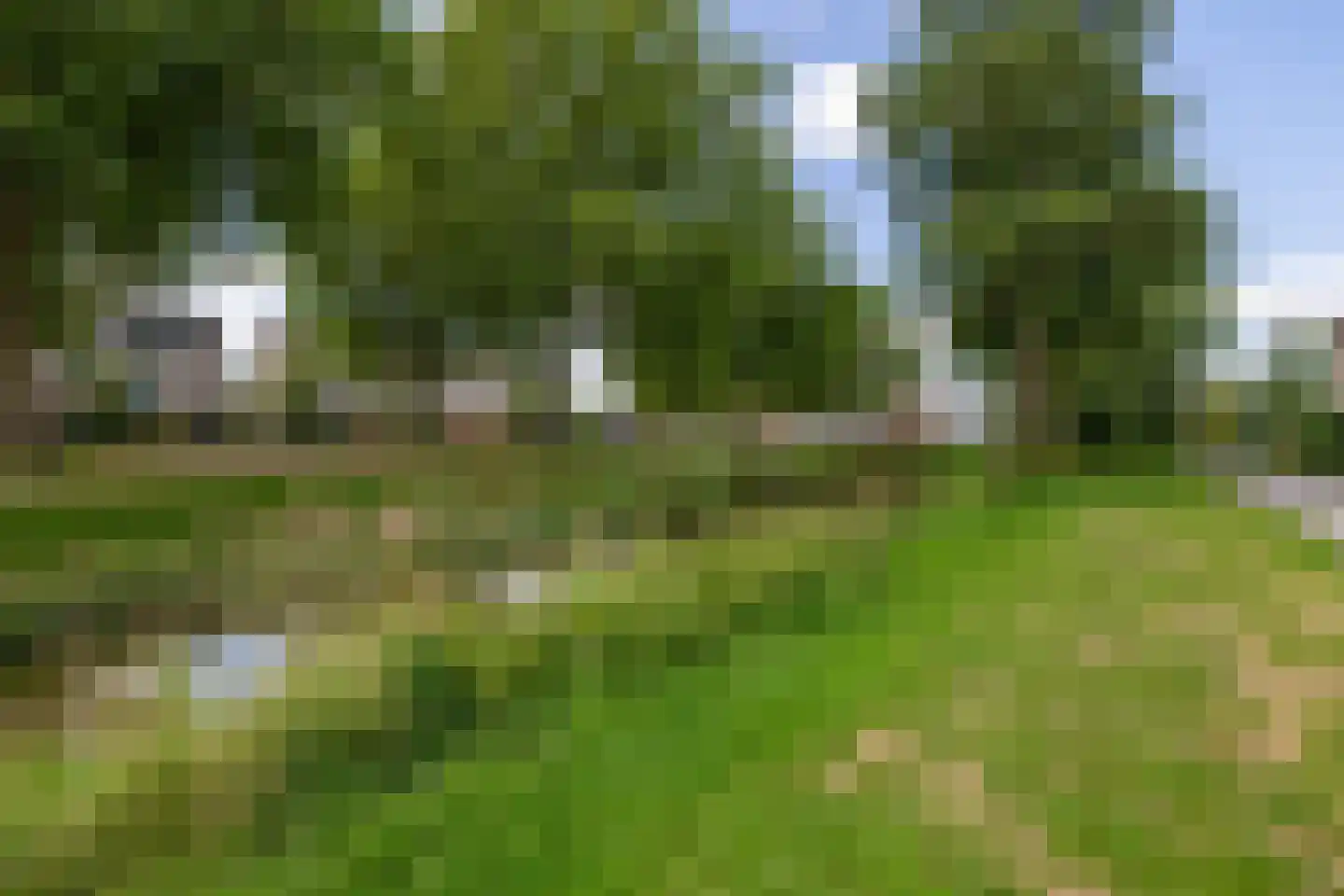 Gerstakker 92 Waddinxveen thumbnail 33