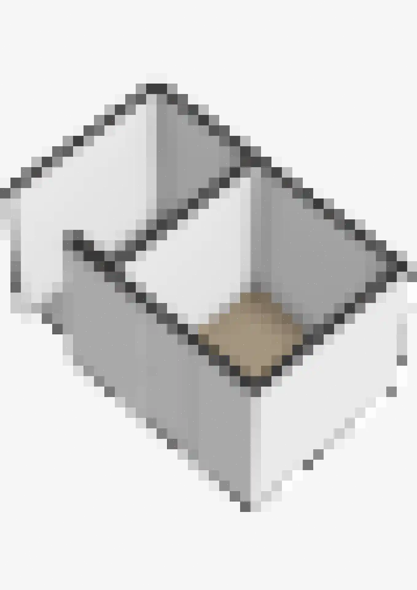 Gerstakker 92 Waddinxveen thumbnail 43
