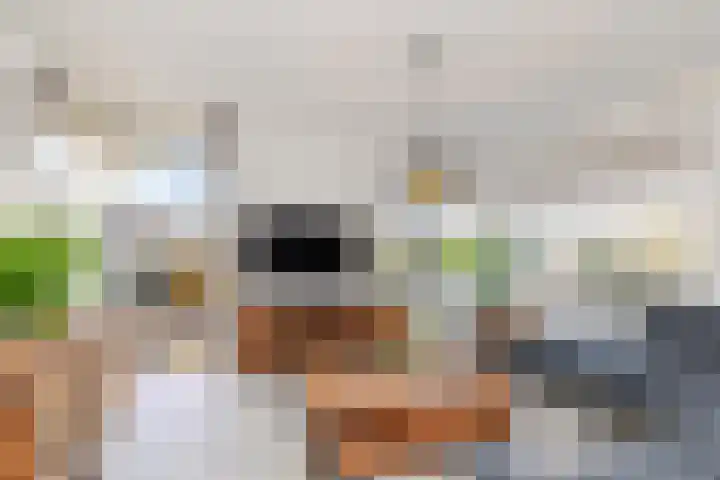 Gerstakker 95 Schiedam thumbnail 12