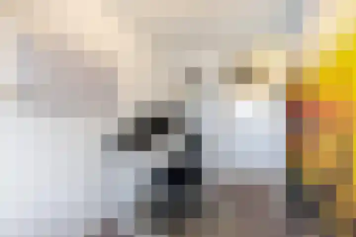 Gerstakker 95 Schiedam thumbnail 31