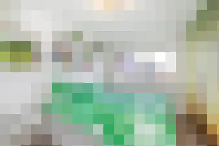 Gerstakker 95 Schiedam thumbnail 32
