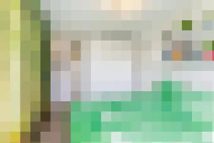 Gerstakker 95 Schiedam thumbnail 33