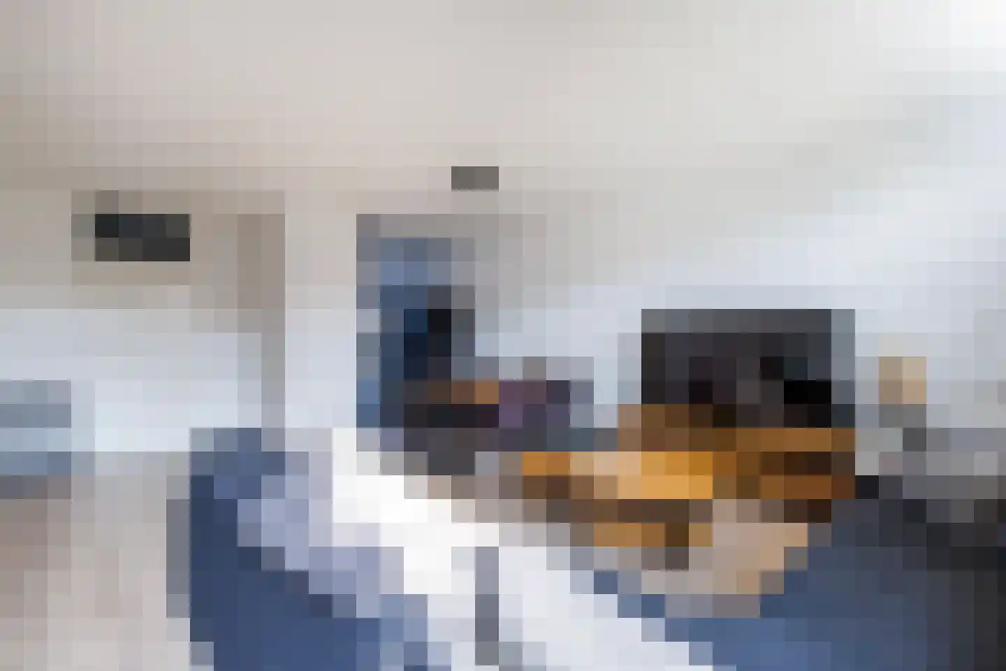 Gerstdreef 42 Doetinchem thumbnail 5