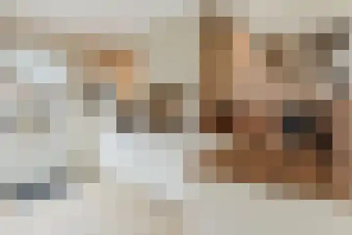 Gersteberg 12 Sprundel thumbnail 19