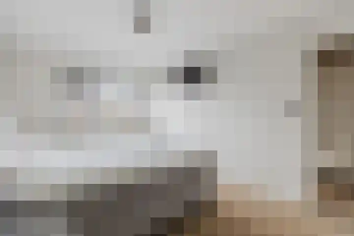 Gersteberg 12 Sprundel thumbnail 22