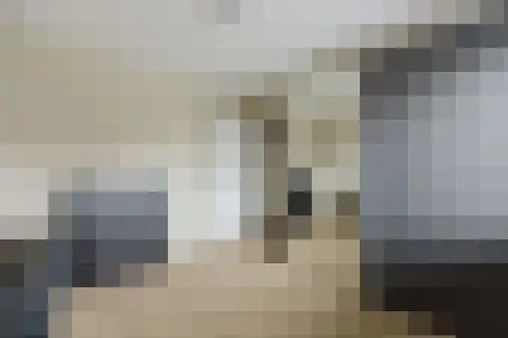Gersteberg 12 Sprundel thumbnail 24