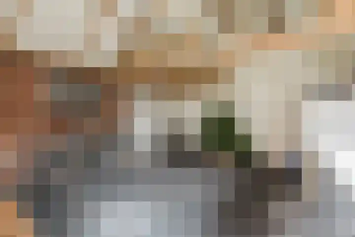 Gersteberg 12 Sprundel thumbnail 37