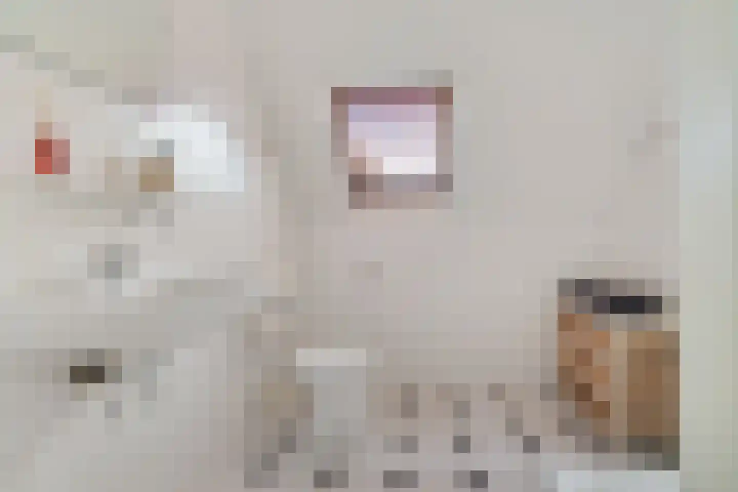 Gerstehof 23 Biddinghuizen thumbnail 35