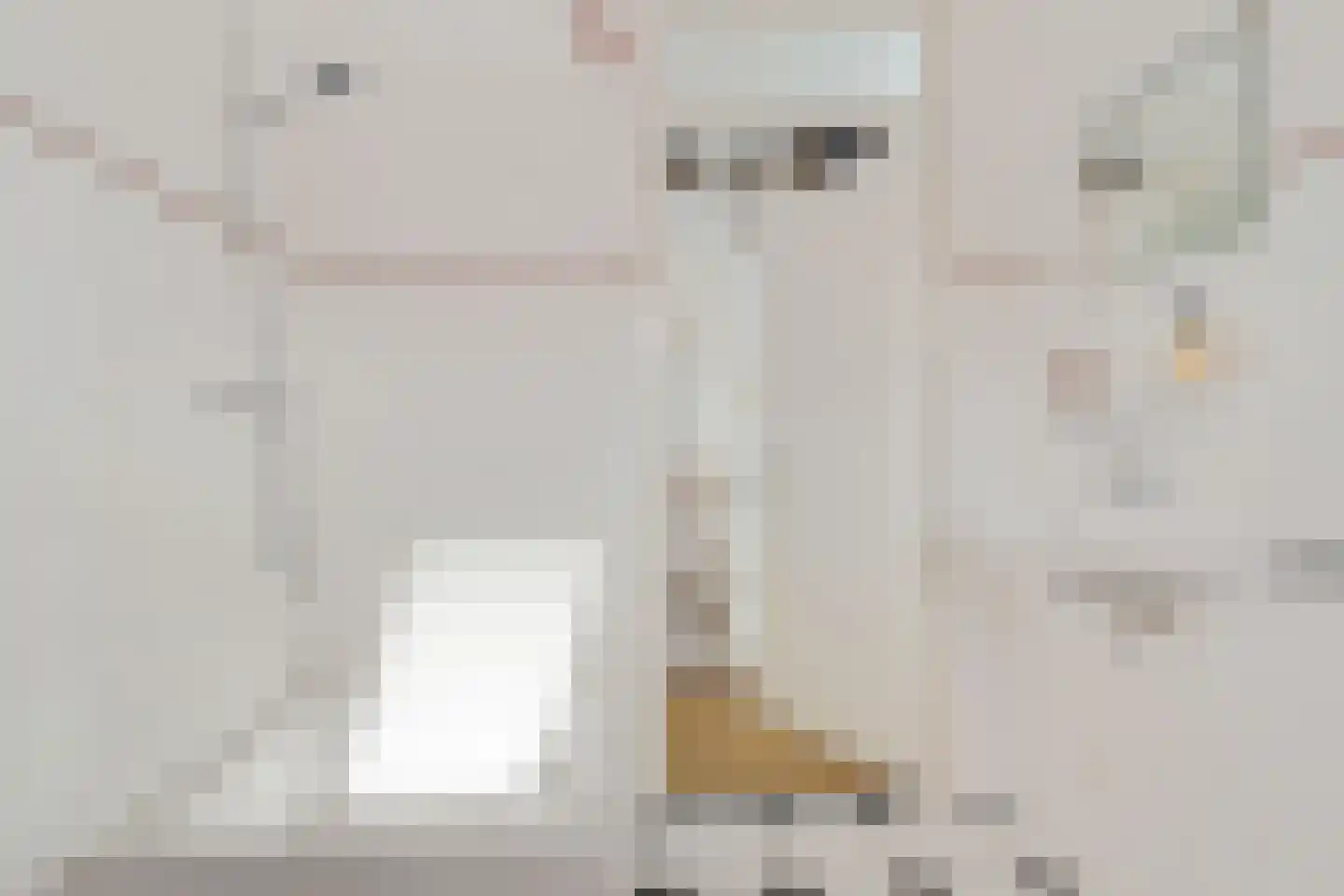 Gerstehof 23 Biddinghuizen thumbnail 37