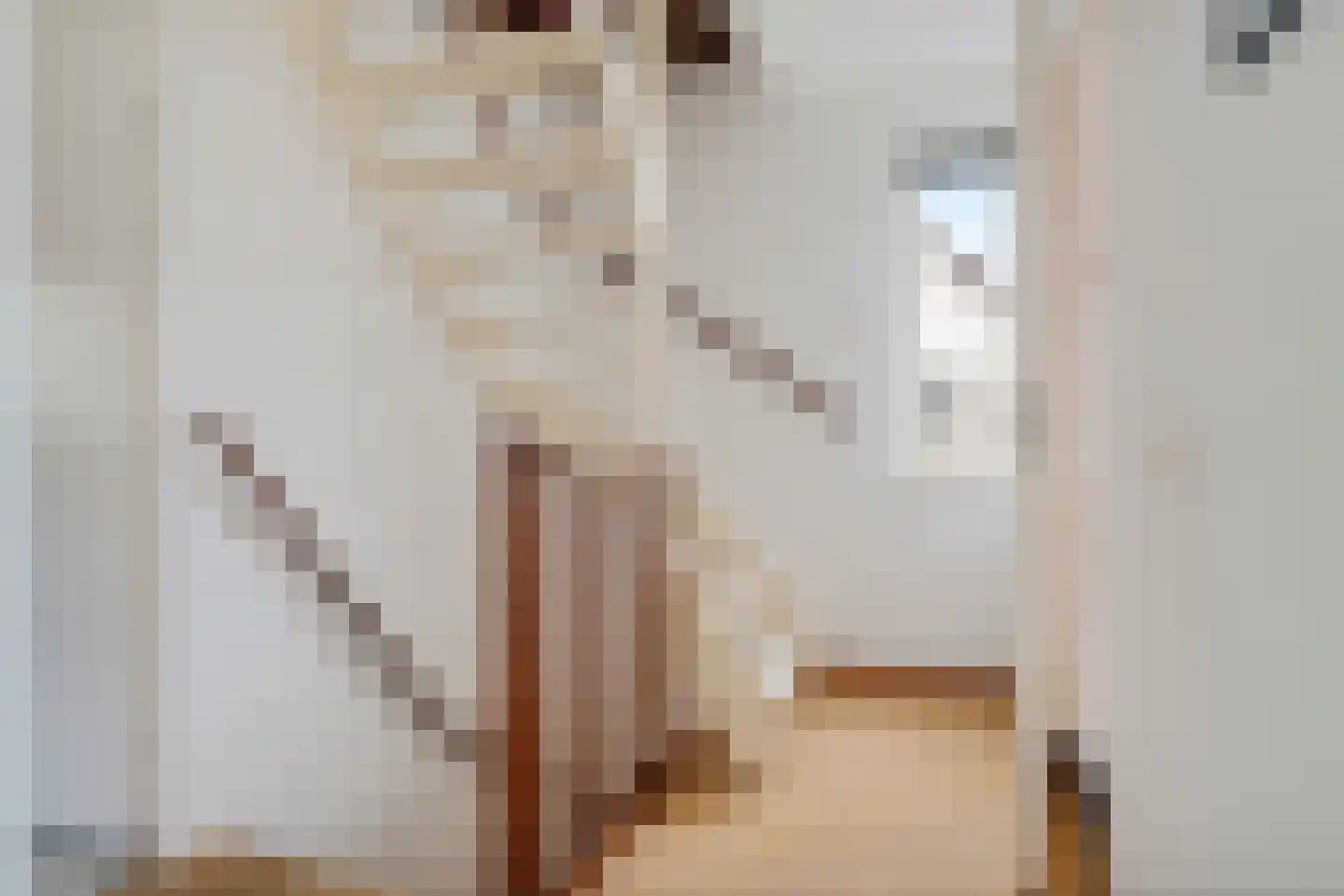 Gerstehof 23 Biddinghuizen thumbnail 38