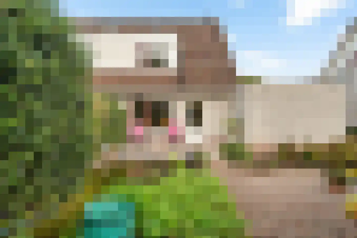 Gerstehof 23 Biddinghuizen thumbnail 46